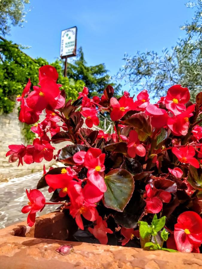 L'Oliveto Hotel Cineto Romano Luaran gambar